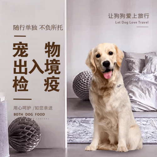 晋城市宠物托运到哥伦比亚猫狗宠物入境规定和