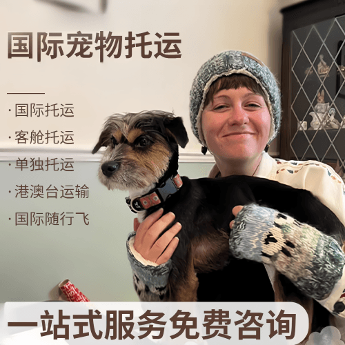 晋城市国际宠物托运到阿根廷宠物入境规定和要