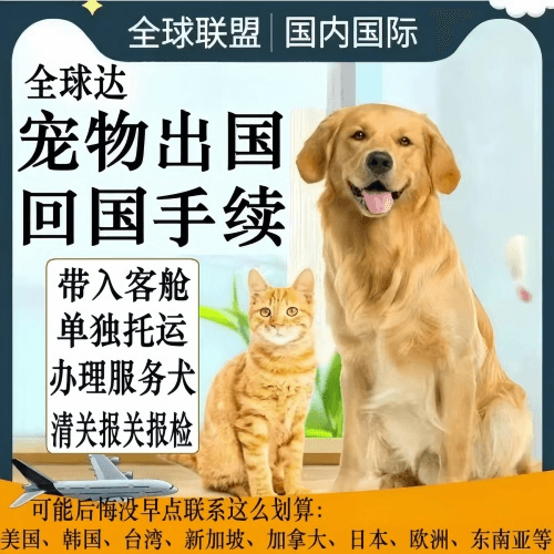 晋城市宠物托运到柬埔寨宠物入境规定和要求