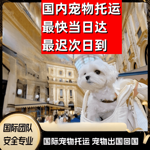晋城市到澳大利亚（澳洲）宠物入境规定和要求