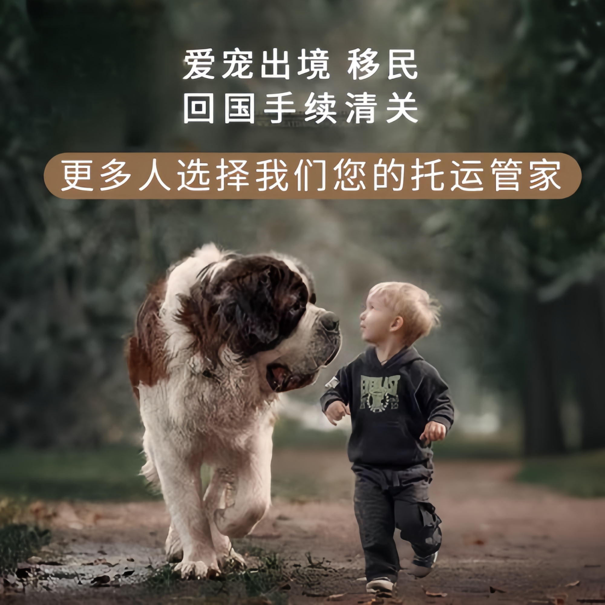满财晋城市宠物全球达宠物托运在遵守入境目的地政策的条件