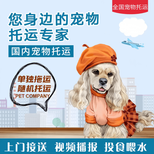 满财晋城市宠物全球达宠物托运作为专业的宠物运输代理机构